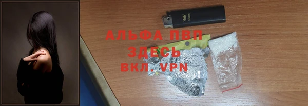 спайс Алзамай