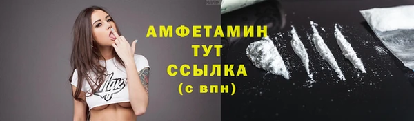 амф Алексин