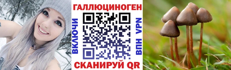 как найти закладки  Тула  мориарти официальный сайт  Псилоцибиновые грибы мухоморы 