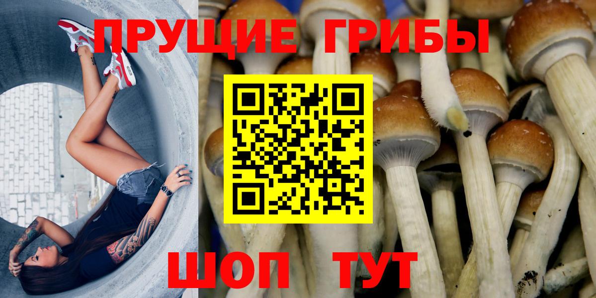 Галлюциногенные грибы мухоморы  Вход с VPN  Галлюциногенные грибы мицелий  Тула 